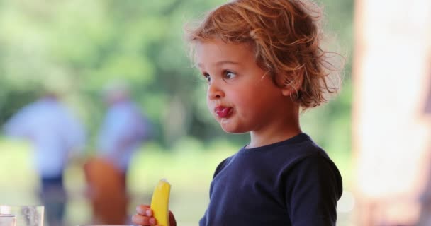 Little Boy Toddler Thinking Contemplation While Chewing — Stockvideo