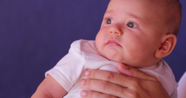 Holding Newborn Baby Infant Boy First Months Life Portrait — ストック動画
