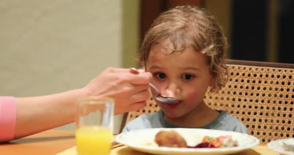 Mother Feeding Her Little Boy Son Dinner Supper — Video