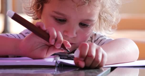 Маленький Хлопчик Тримає Кольорову Ручку Малює Навчання Концентрується — стокове відео