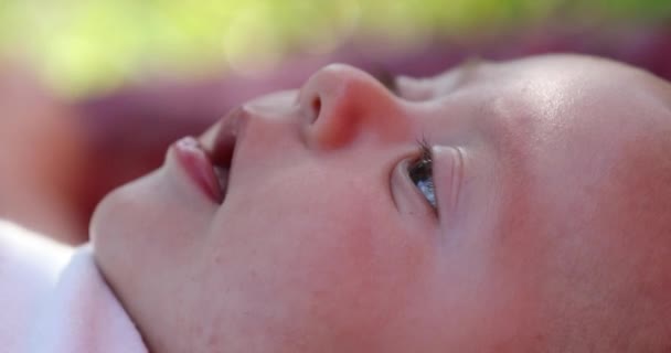Новорожденный Младенец Крупным Планом Лицо Открытом Воздухе — стоковое видео