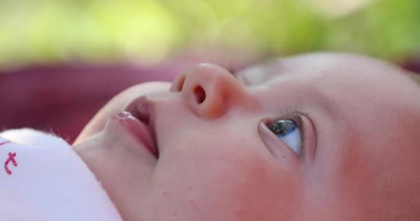 Όμορφο Μωρό Νεογέννητο Μωρό Closeup Πρόσωπο Έξω — Αρχείο Βίντεο