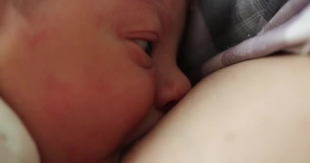 Грудное Вскармливание Милого Новорожденного Ребенка Вид Крупным Планом — стоковое видео