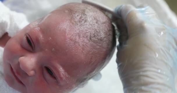 Κοπή Νεογέννητου Μωρού Στο Νοσοκομείο Μετά Γέννηση — Αρχείο Βίντεο