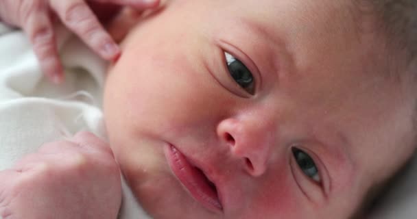 Baby Newborn Portrait Observing World First Day Life — Stock videók