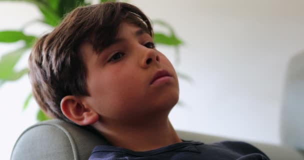 Young Boy Relaxing Home Watching Screen — Video Stock