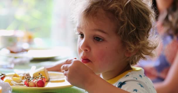 Toddler Baby Boy Eating Toast Marmelade Morning Breakfast Table — Vídeo de stock