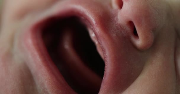 Closeup Macro Newborn Infant Baby Opening Mouth — Vídeo de Stock