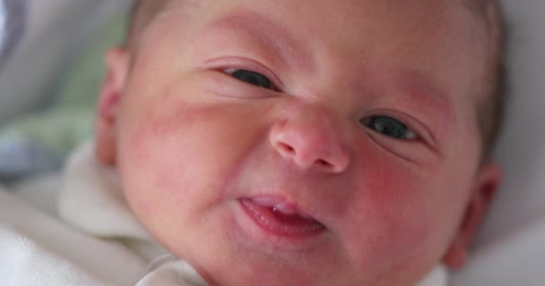 Closeup Infant Newborn Baby — Stockvideo