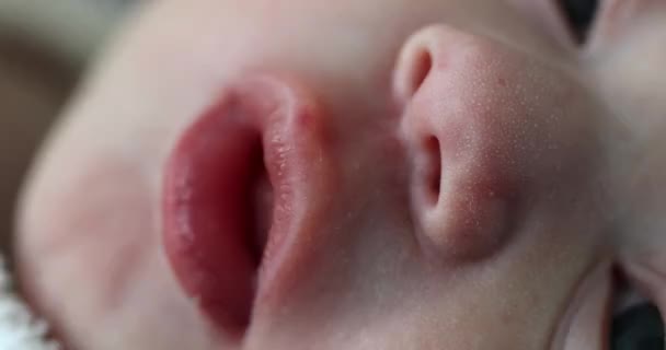 Closeup Του Νεογέννητου Στόματος Μωρό Μακροεντολή — Αρχείο Βίντεο