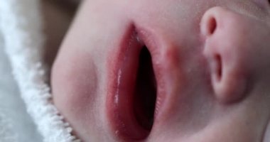 Macro close-up of newborn baby face