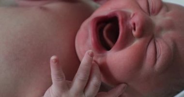 Newborn baby crying at hospital, first minutes of life
