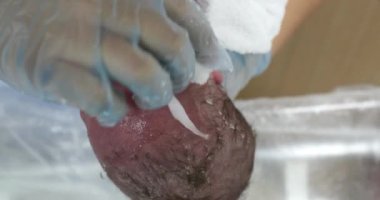 Newborn baby bath at hospital after birth