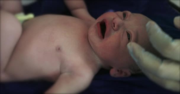Inspecting Newborn Baby Right Birth Doctor Looking Infant Health — Vídeo de Stock