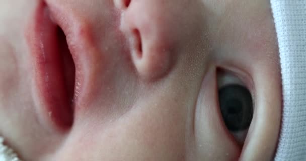 Макро Крупный План Лица Новорожденного Детские Глаза Нос Рот — стоковое видео