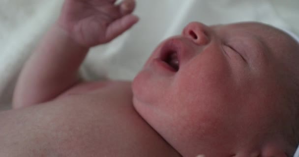 Newborn Baby Crying Hospital First Minutes Life — Stockvideo