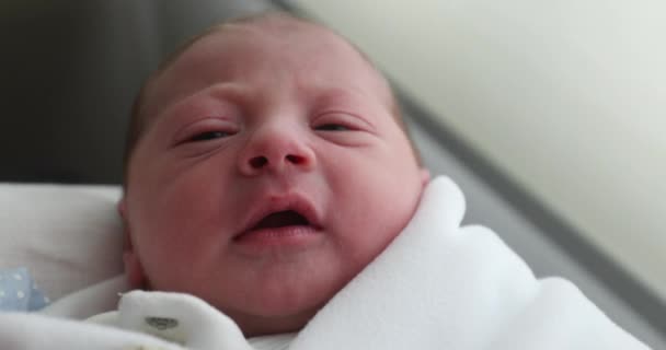Νεογέννητο Μωρό Πρόσωπο Πρώτη Μέρα Της Ζωής — Αρχείο Βίντεο
