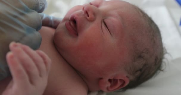 Infant Newborn Baby Crying First Minutes Life — Vídeo de stock
