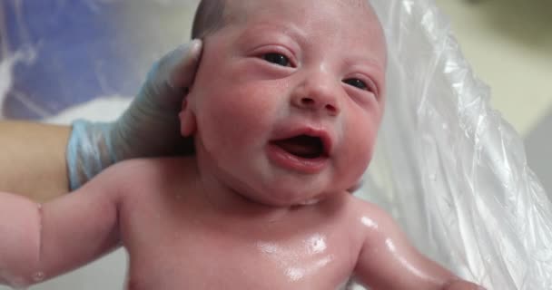 Newborn Baby Crying Taking Bath — Video Stock