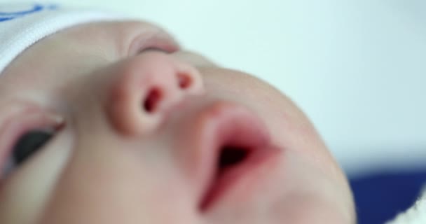 Newborn Baby Close Face — Vídeo de Stock