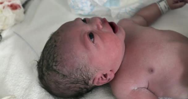Νεογέννητο Μωρό Πρώτα Λεπτά Της Ζωής Μετά Γέννηση — Αρχείο Βίντεο