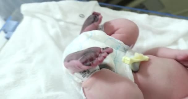 Βρέφος Νεογέννητο Μωρό Κλαίει — Αρχείο Βίντεο