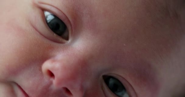 Newborn Baby Close Macro Face — Vídeos de Stock