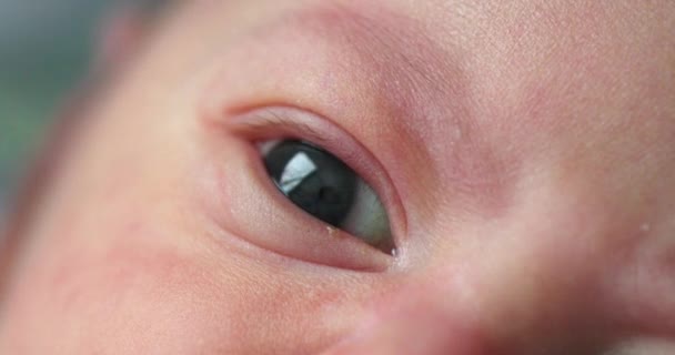 Newborn Baby Eyes Macro — 图库视频影像