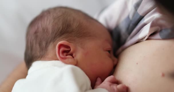 Newborn Baby Breastfeeding First Day Life — Vídeo de Stock