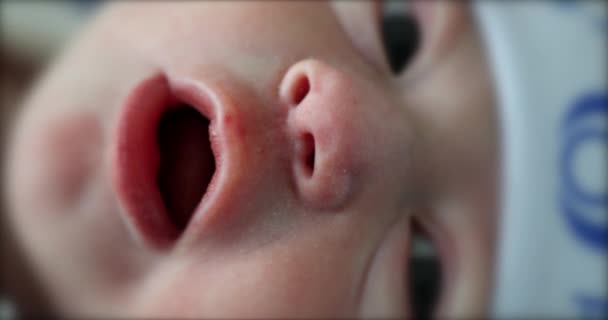 Первые Моменты Жизни Новорожденного Ребенка — стоковое видео