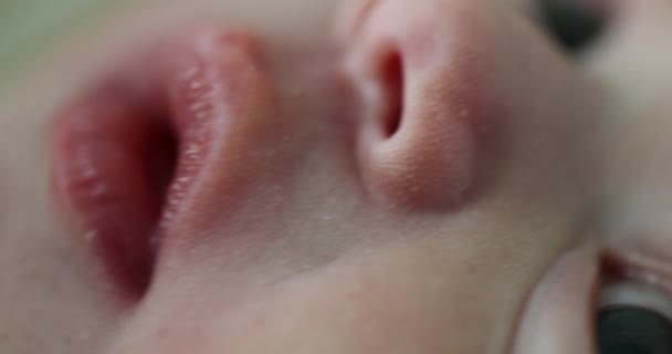 Macro Closeup Newborn Baby Face — Stock Video
