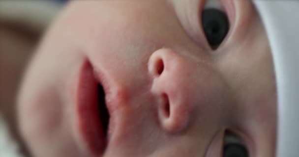 Νεογέννητο Μωρό Face Close — Αρχείο Βίντεο