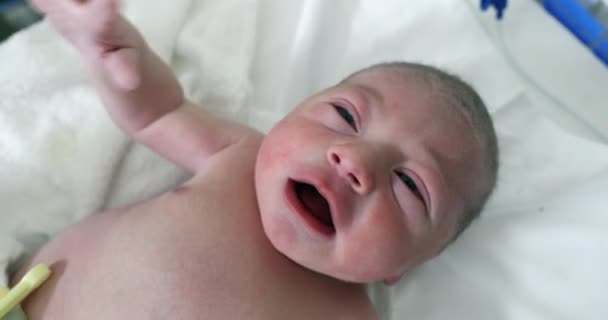 Newborn Baby Crying First Minutes Life — Stockvideo