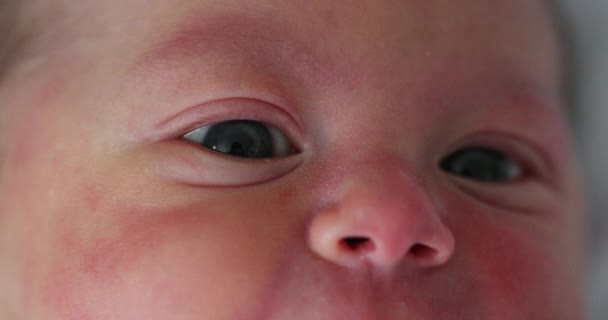 Newborn Baby Face Eyes First Day Life Hospital — Stockvideo