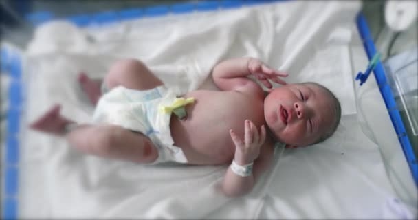 Newborn Baby Cries Close View — Stok video