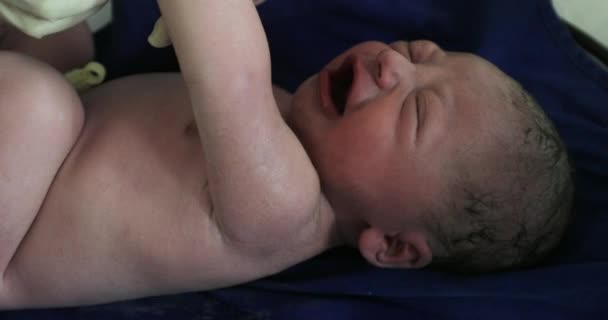 Infant Newborn Baby First Seconds Life Birth — 图库视频影像
