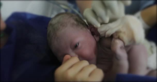 Newborn Baby Birth First Seconds Infant Baby Life — 图库视频影像