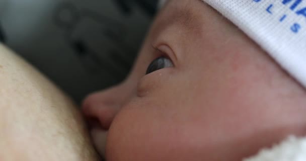 Newborn Baby Breastfeeding Close View — Stockvideo