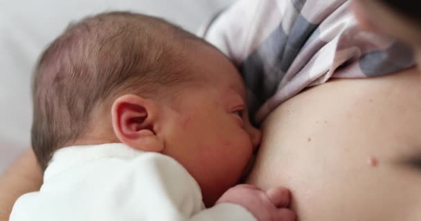 Mother Breastfeeding Infant Newborn Baby — 图库视频影像