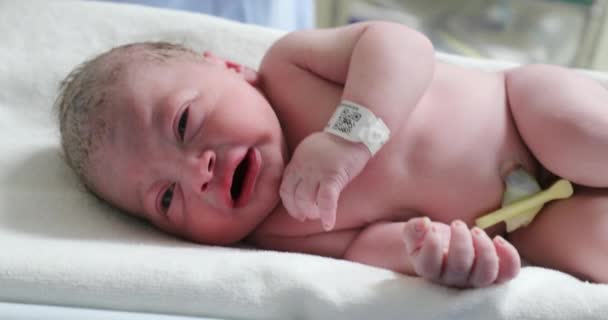 Infant Newborn Baby Crying Birth First Seconds Life — Stok video