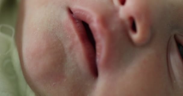 Macro Close Newborn Infant Face First Day Life — Video Stock