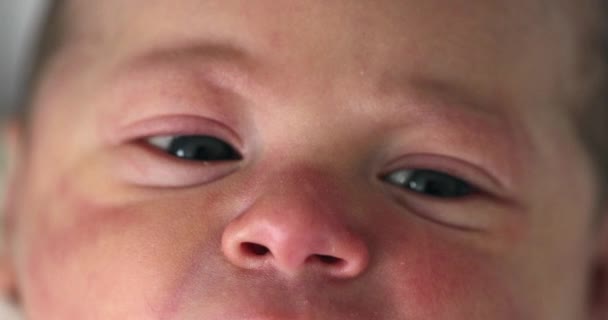 Macro Closeup Newborn Baby — 图库视频影像