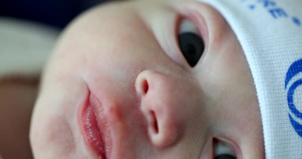 Новорожденный Ребенок Лицо Крупным Планом Детали Глаза Нос Рот Первые — стоковое видео