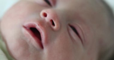 Portrait of newborn baby face in first day of life