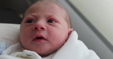 Newborn baby portrait after birth