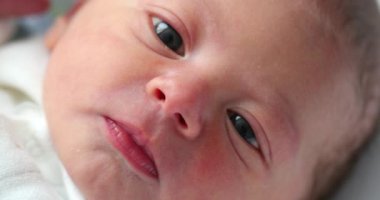 Newborn baby infant face in first day of life