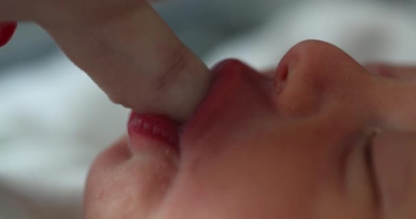 Infant Newborn Suckling Finger Feeding — Vídeo de Stock