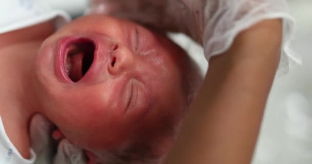 Giving Bath Newborn Infant — Vídeo de Stock