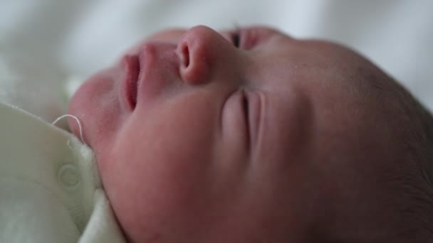 Newborn Baby Infant First Hours Life Hospital Waking — Vídeos de Stock