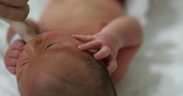 Calming Newborn Baby Suckling Finger Feeding — Stockvideo